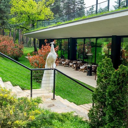 Bioli Wellness Resort Kojori Exterior foto