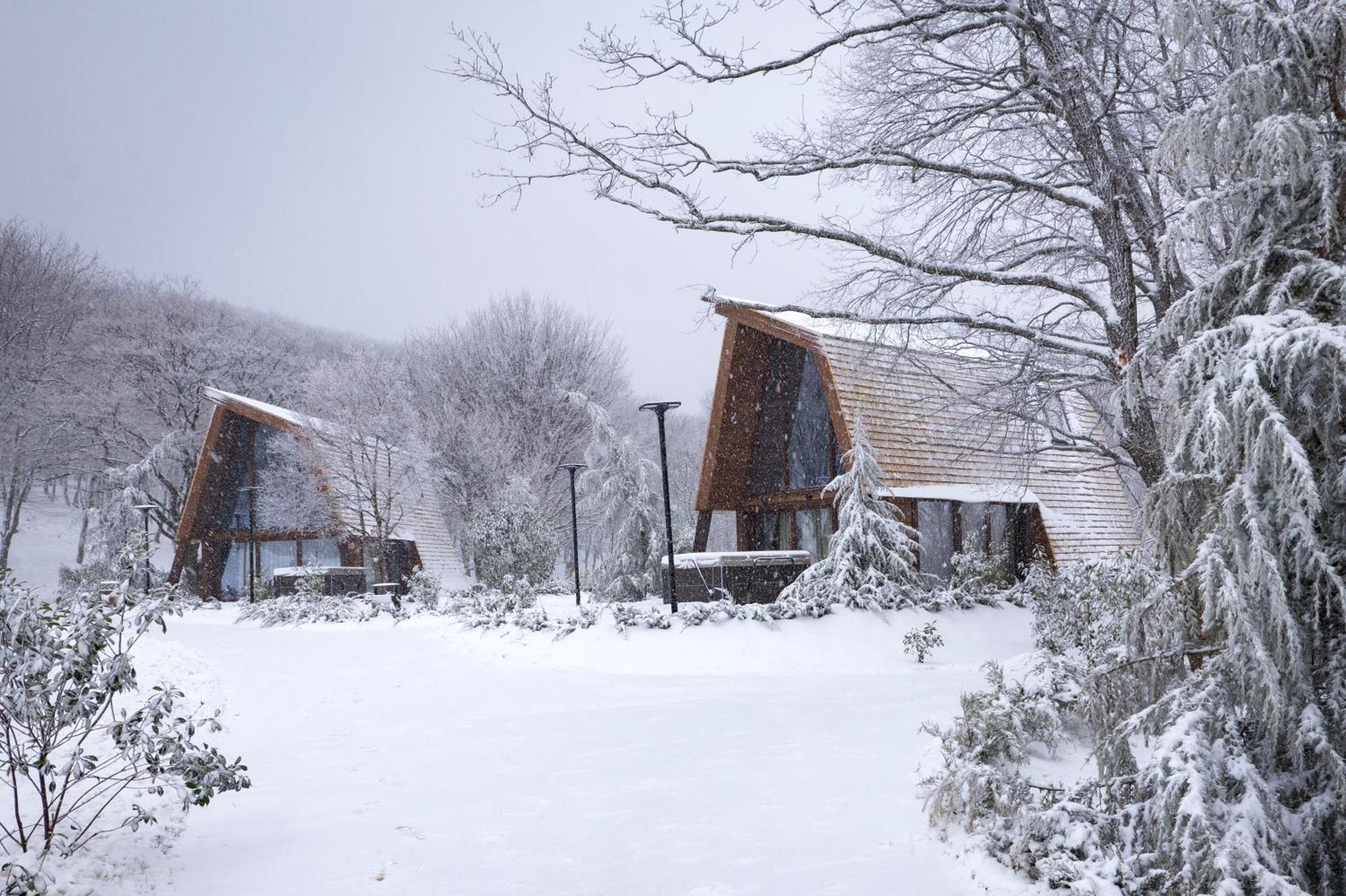 Bioli Wellness Resort Kojori Exterior foto